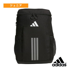 AfB_X I[X|[cobO XNGA obNpbN WjA T4836