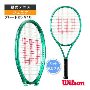 �E�B���\�� �e�j�X���P�b�g �u���[�h25 V10 BLADE 25 V10 WR208610S
