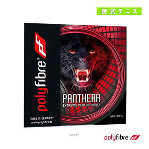 |t@Co[ ejXXgOiPj Panthera^pe[^12.2miPF0970RE^PF0960REj