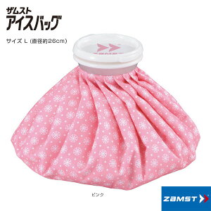 UXg I[X|[cT|[^[PAi ACXobO LTCY 378113