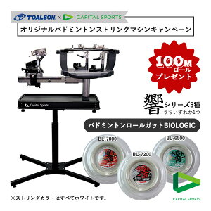 ガット張り機 バドミントン用品の通販 価格比較 価格 Com