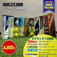 【9/19〜9/23限定★創業祭】ラケプラオリジナル テニスボール 【送料無料】テニスボール練習球打ち比べ10…