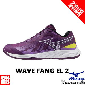 EG[ut@OEL2 71GA242303 3E oh~g V[Y ~Ym EG[ut@OV[Y珉ELfo oh~gV[Y TCY {oh~g