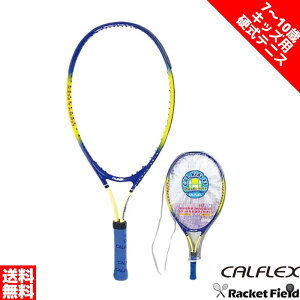Kbgグς dejX Pbg JtbNX LbYpejXPbg CAL-23-3 7`10 g120`137cm̕ pP[Xt CALFLEX