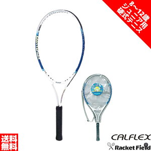 Kbgグς dejX Pbg JtbNX WjApejXPbg CAL-25-3 8`12 g137`150cm̕ pP[Xt CALFLEX
