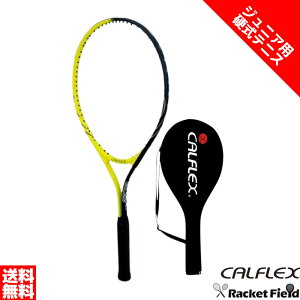 Kbgグς dejX Pbg JtbNX WjApejXPbg CAL-26 8΁`ʏS pP[Xt CALFLEX