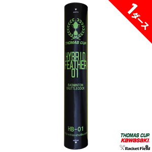 y1_[Xzoh~g Vg Kp g}XJbv nCubhVg 01 HYBRID FEATHER 01 HB-01 1_[X12 w Z S Vg oh~gVg Kp g[j