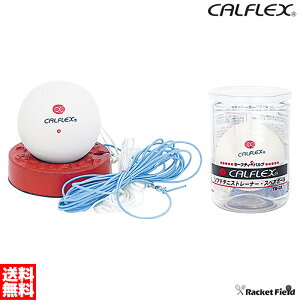 \tgejX Kp TNC JtbNX \tgejXg[i[ XyA{[Zbg 2_ZbgZtejX@yzejX ejX K \tgejX {[ȂȂ