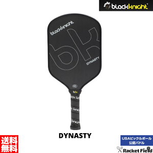 ACxbN@PP-9131 [@DYNASTY pP[Xt { {oh~g荇ii   oh~gR[gƓXy[XAlbgAphA{[΁gNłyɃv