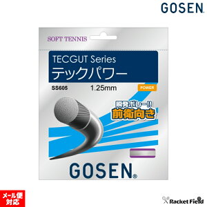 \tgejX Kbg S[Z GOSEN XgOX ebNKbg ebNp[ TECGUT TECPOWERyejX \tgejX ejX Kbg XgO S[Z soft tennisz racketfield