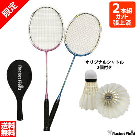 楽天市場 バドミントン ラケット 初心者の通販