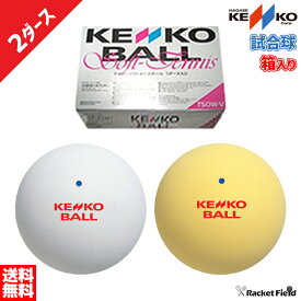 ソフトテニス ボール ケンコー KENKO ソフトテニスボール 試合球 箱入り 2ダース テニス 軟式テニス 公認球 公認試合球 ボール テニスボール 軟式テニスボール ソフトテニスボール soft tennis ball