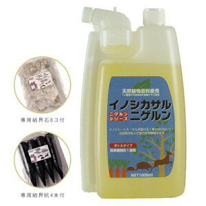 wCmVJTjQ@1LxƁwE8xƁwEY4{xZbg