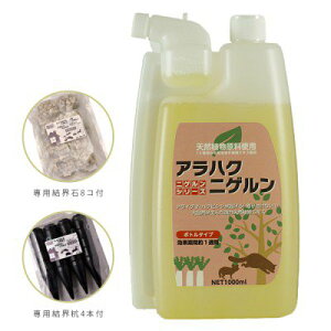 wAnNjQ@1LxƁwE8xƁwEY4{xZbg