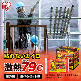 カイロ 貼れない アイリスオーヤマ 高温 屋外 激熱カイロ 使い捨てカイロ 貼れない 腰 あたため カイロ キャンプ アウトドア 防災 スポーツ観戦 工事現場 釣り 登山 長時間 散歩 防寒 冬 防寒対策 ぽかぽか家族 10R