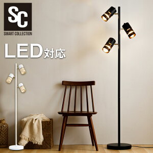 yIׂleddZbgz X^hCg  _ k LED 3 tACg X^h X ԐڏƖ tAv VF[h px tAX^h Cg Vv Ɩ r
