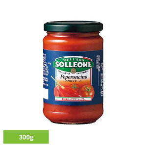 g}g\[XEyy`[m 1300421g}g\[X C^A ȒP pX^ sU JS P`bv fe pX^\[X ۑH  ubNtCf[