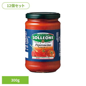 y12zg}g\[XEyy`[m g}g\[X C^A ȒP pX^ sU JS P`bv fe pX^\[X ۑH  ubNtCf[