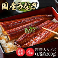 【10%OFF】 【4尾】特大鰻（約200g/尾） うなぎ かば焼き 鰻蒲焼 冷凍 800g 目利き 厳選 大阪中央卸売市…