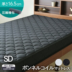 {lRC}bgX SD ubN BCMT-SD }bgX xRC ʋC 16.5cm Z~_u k[ d QSn ACXvU