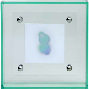 _X|Cg5{^THRU.LIGHT 4x4 THRUA00301tHgt[ Vv  ʐ^ AN CeA fBXvC ANtHgt[ tHgX^h ʐ^t[ O[o