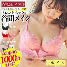 ＼毎月1日は1,000円OFFクーポン／【旧サイズ】育乳ブラ ナイトブラ 小胸 フロントホック リフトアップ美胸ブラ ブラジャー aカップ ナイトブラ 育乳 バストアップ バスト 寄せ 谷間 ブラ 大きいサイズ 脇肉 脇高 設計 補正 全7色 全12サイズ ラディアンヌ