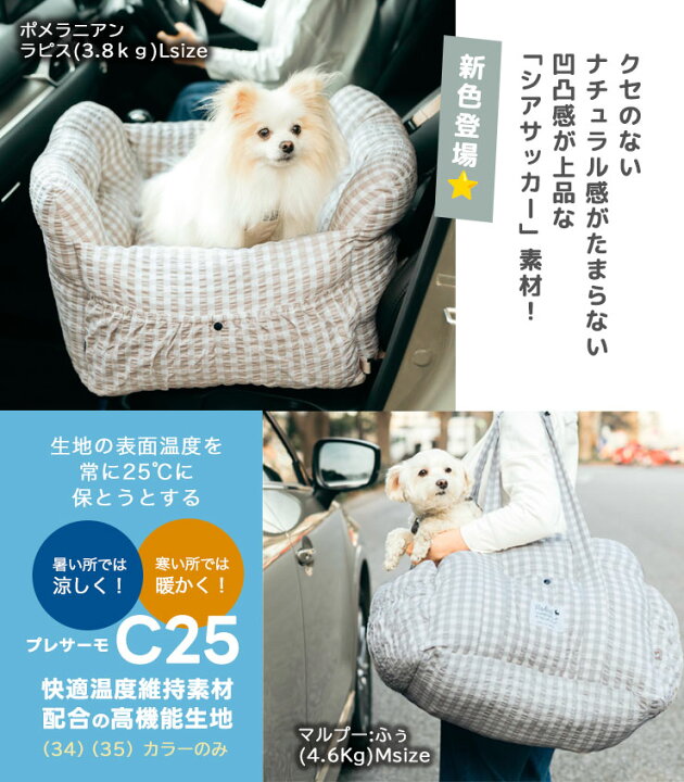 楽天市場】【新色追加】【まとめ買い最大15％OFF】【ご愛顧SALE】小型 