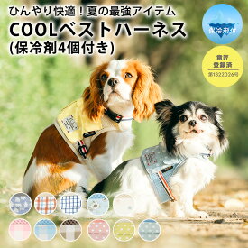 【まとめ買い最大15％OFF】【ご愛顧SALE】ハーネス クール 暑さ対策 ラディカ radica 抜けにくい 交換OK/返品不可 メール便可保冷剤付き クールベストハーネス S/M/L/LLサイズ