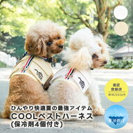 【まとめ買い最大15％OFF】ハーネス クール 暑さ対策 ラディカ radica 抜けにくい 交換OK/返品不可 メー…