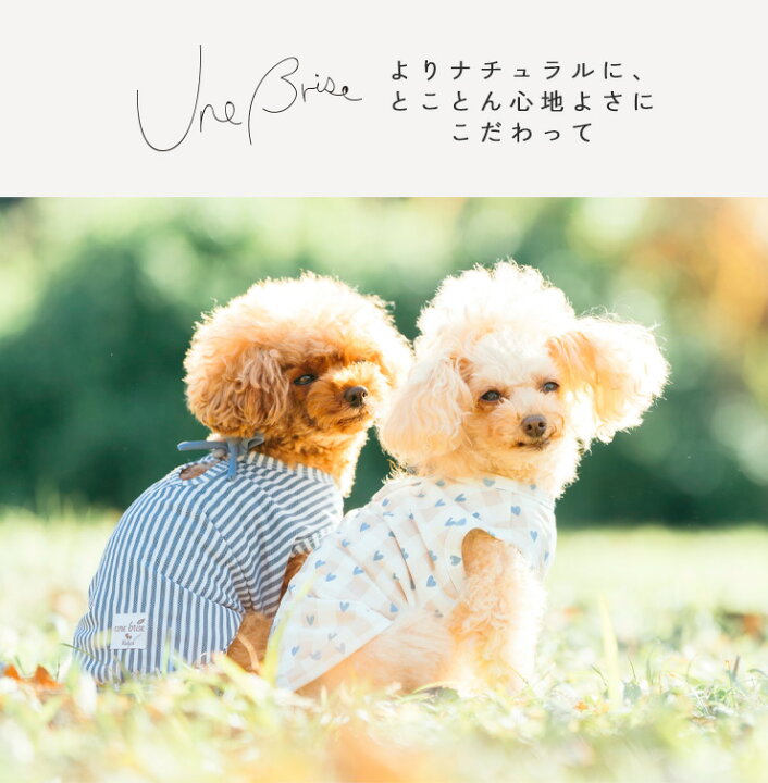 Rady試着のみ!花びらチュニック♡ 楽天市場】【まとめ買い最大15％OFF 