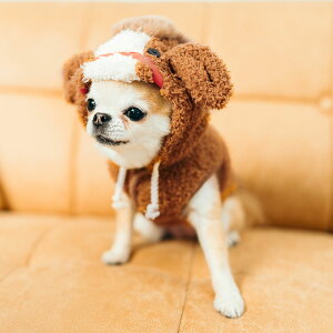 y܂ƂߔN[|Ώہz ^ p x n  t[h p[J  EFA hbOEFA ̕  OK/ԕis [֕sn񗼖ʃ{Ap[J[