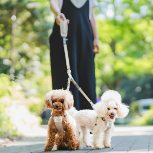 y܂ƂߔN[|Ώہzyډi300~OFFz ^ p 􂦂 [h t@bV[h fBJ radica qh~  U ~5Kg  h CORDURA (R) OK/ԕis [։ 