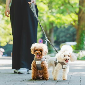 【まとめ買い最大15％OFF】【ご愛顧SALE】犬 小型犬 犬用 洗える リード ファッションリード ラディカ radica 迷子防止 多頭 散歩 ~5Kg 撥水 防汚 コーデュラ交換OK/返品不可 メール便可 コーデュラ ツインリード