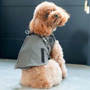 y܂ƂߔN[|Ώہz ^ ^ p  n[lX fBJ qh~  h 􂦂 TCYOK/ԕis [֕s R[f (R) t[X AE^[ n[lX S M 