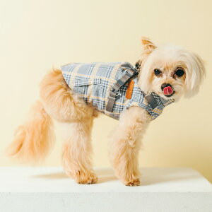 y܂ƂߔN[|Ώہz ^ ^ p  n[lX fBJ qh~  h 􂦂 TCYOK/ԕis [֕s R[f (R) t[X AE^[ n[lX S M 