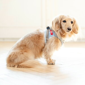 yډi200~OFFz^ p n[lX ɂ ȒPfBJ radica qh~ CORDURA (R) 􂦂 OK/ԕis [։ R[f (R) WXgn[lX