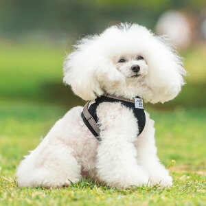 yډi200~OFFz^ p n[lX ɂ ȒPfBJ radica qh~ CORDURA (R) 􂦂 OK/ԕis [։ R[f (R) WXgn[lX