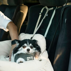 �y�����ډ��i100�~OFF�z�y���r���[�L�����y�[���Ώہz�����^�� ���p ���� �h���C�u���[�h ���f�B�J ���q�h�~ �E���h�~ �􂦂� �T�C�Y����OK/�ԕi�s�� ���[���։� �R�[�f�����h���C�u���[�h