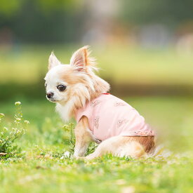 【まとめ買いクーポン対象】【獣医師監修】犬 小型犬 可愛い タンクトップ 犬服 秋 冬 ドッグウエア 犬の服 血行促進 体幹安定 特許取得 交換OK/返品不可 メール便可 IFMC. イフミック タンク