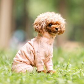 【ご愛顧SALE】【獣医師監修】犬 小型犬 可愛い 犬服 ロンパース 秋 冬 ドッグウエア 犬の服 血行促進 体幹安定 特許取得 交換OK/返品不可 メール便可 ワッフル IFMC.イフミック ロンパース