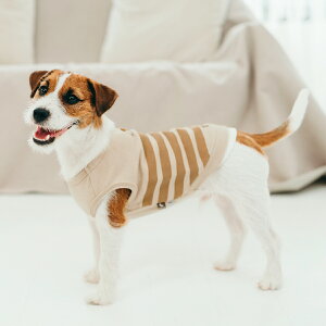 y܂ƂߔN[|Ώہzyr[Ly[ΏہzybtďCz ^   H ~ hbOEGA ̕ si ̊ 擾 OK/ԕis [։ IFMC. V