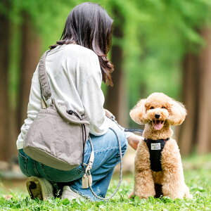 yډi500~OFFzyr[Ly[Ώہz UobO @\ В hXg o OK/ԕis [֕sUV_[obO