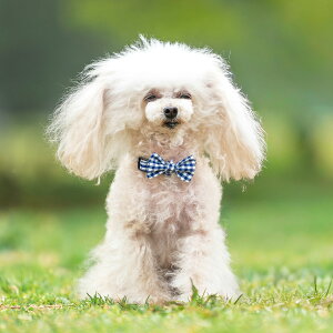 yډi100~OFFz ^ p  fBJ radica qh~ J[ t@bV { 2`8kg OK/ԕis [։RADICA+Y J[