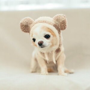 y܂ƂߔN[|Ώہz ^  EFA hbOEGA ̕  OK/ԕis [֕s u}V}XtvAjbgp[J[