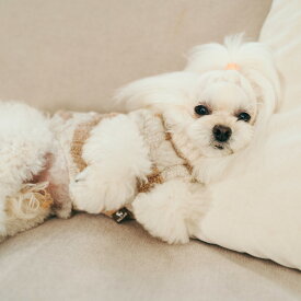 【均一SALE】犬 小型犬 ニット 犬服 ドッグウエア 犬の服 服 防寒 交換/返品不可 メール便可 ミックスアランリアルニット