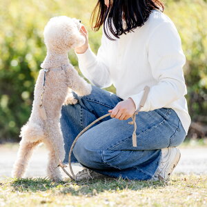 yBlackFriday 700~OFFzyr[Ly[Ώہz^ 􂦂 [h [h fBJ qh~  U `10kg OK/ԕis [։ [vPi[h