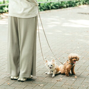 y܂ƂߔN[|Ώہzy[hp[cPiǉz ^ p 􂦂 | [h fBJ radica qXq  `10kg OK/ԕis [։ [vuV_[[hv