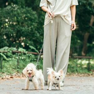 y܂ƂߔN[|Ώہzy[hp[cPiǉz ^ p 􂦂 | [h fBJ radica qXq  `10kg OK/ԕis [։ [vuV_[[hv