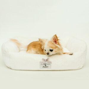 yډi200~OFFz ^ p L Lp xbh ybg Jh[ OK 􂦂 ybgxbh NbV \t@[ 킢 OK/ԕis V[gt@[XNGAxbh S/M