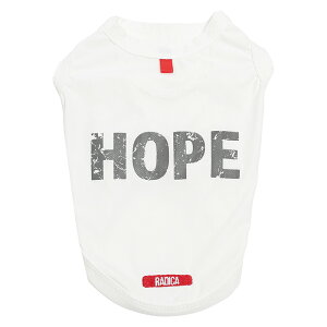 y1,090~ψz^  ^Ngbv  t  hbOEGA ̕ ڐG⊴ h f  /ԕis [։S hJ N[ ^N